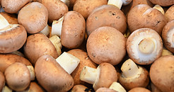Good source of vitamin D - mushrooms that have been exposed to the sun/uv light